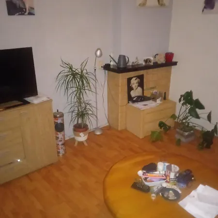 Kok Koog aan de Zaan
